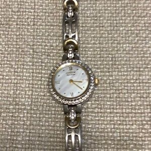 Citizens Eco Drive Watch